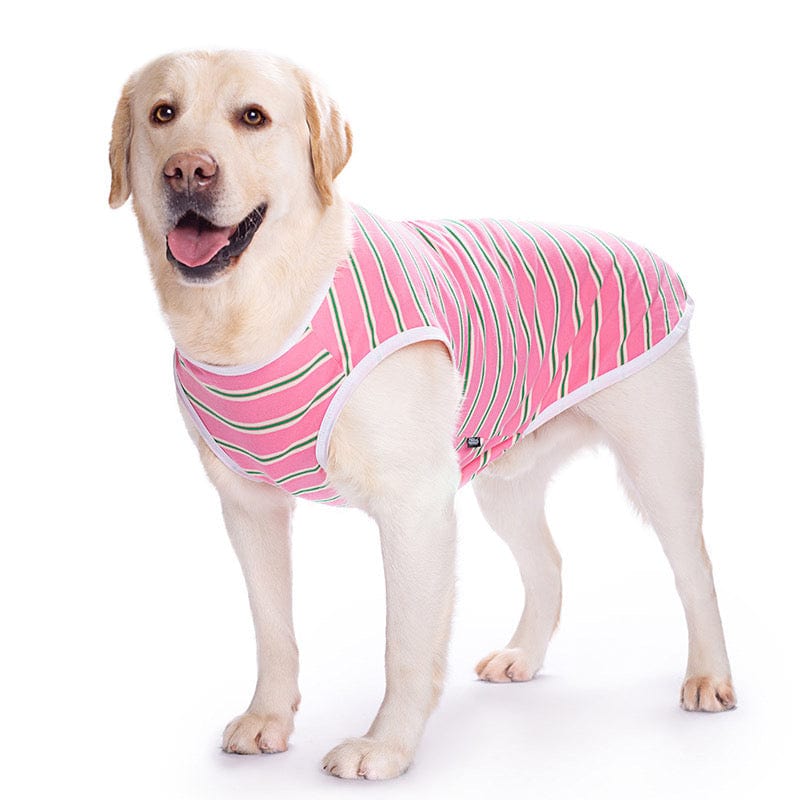 KUTKUT Cotton Striped Dog Shirts for Medium/Large Dogs | Breathable Stretchy Fashion Big Dogs Clothes for Beagle, Corgi, Husky, Labarador, Golden Retriver, Samoyed etc-T-Shirt-kutkutstyle